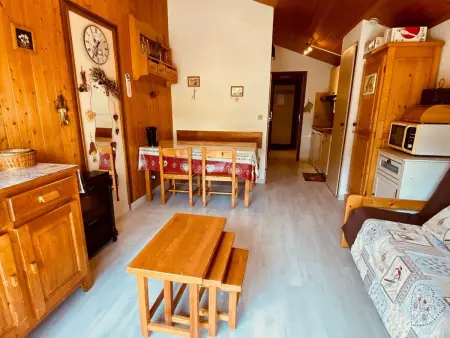 Studio 4 couchages avec garage proche pistes, Appartement 5 personnes à La Clusaz - Photo 4