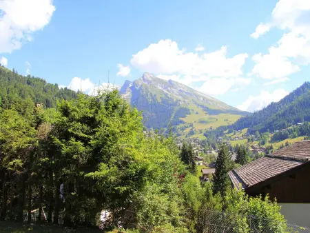 Appartement de 3 pièces avec balcon, cheminée et Wifi à La Clusaz - Photo 10