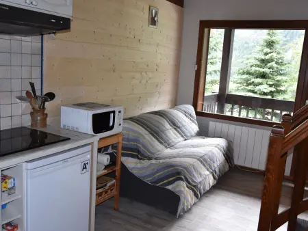 Charmant appartement 2 pièces avec mezzanine, Pralognan-la-Vanoise - Photo 1
