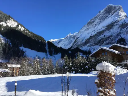 Chalet avec terrasse et parking privé, proche téléphérique - Photo 8