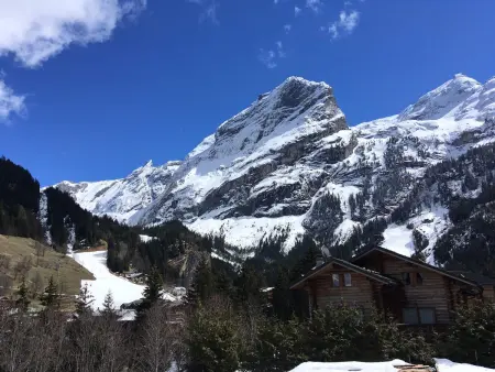 Chalet avec terrasse et parking privé, proche téléphérique - Photo 9
