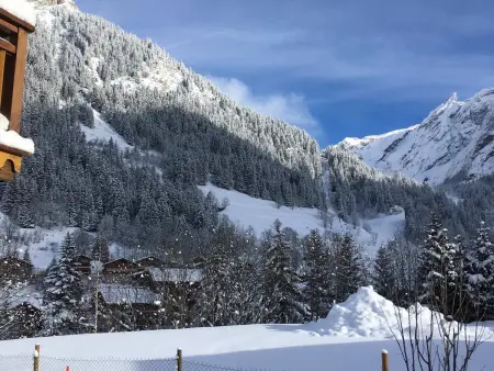 Chalet avec terrasse et parking privé, proche téléphérique - Photo 11