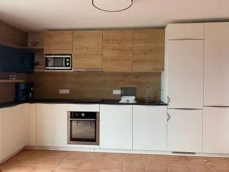 Appartement 3 pièces avec balcon à Pra-Loup, parking privé - Photo 6
