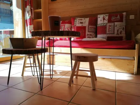 Studio spacieux et bien équipé à Pra-Loup, proche nature - Photo 4
