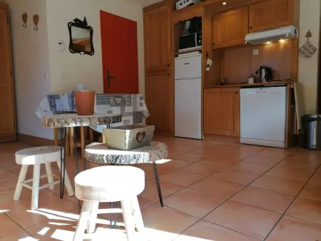 Studio spacieux et bien équipé à Pra-Loup, proche nature - Photo 7