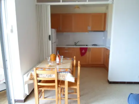 Appartement proche Thermes, animaux acceptés, Appartement 3 personnes à Balaruc les Bains - Photo 4