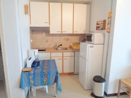 Appartement cosy proche thermes, animaux admis, Appartement 4 personnes à Balaruc les Bains - Photo 4