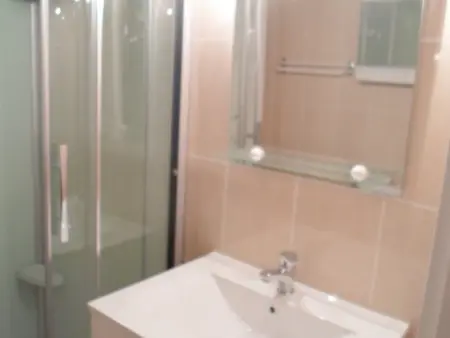 Appartement cosy proche des thermes, animaux admis - Photo 5