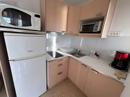 Appartement proche des Thermes à Balaruc, animaux admis - Photo 6