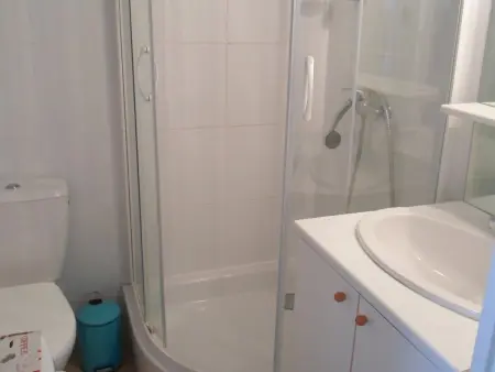 Appartement 2 étoiles proche Thermes avec animaux admis - Photo 8