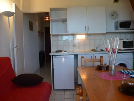 Appartement 2 pièces avec mezzanine, piscine et parking à Saint Cyprien - Photo 8