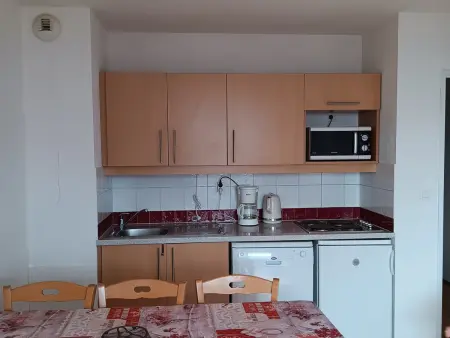 Appartement 2 Pièces pour 6 Personnes avec Balcon à Puy-Saint-Vincent - Photo 1
