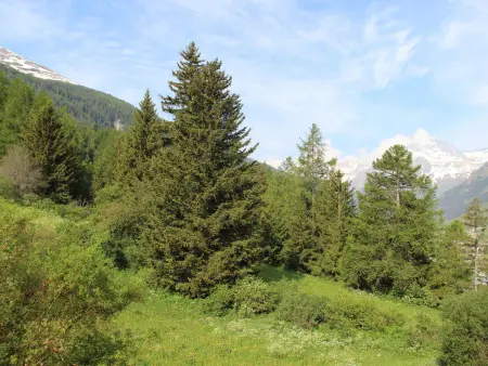 Appartement 6 personnes au pied des pistes avec balcon et parking - Photo 5