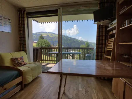 Studio skis aux pieds avec balcon et animaux acceptés - Photo 5