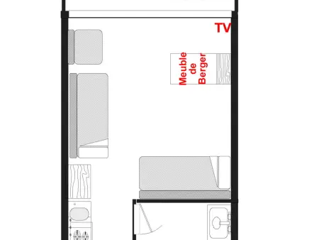 Studio skis aux pieds avec balcon et animaux acceptés - Photo 6