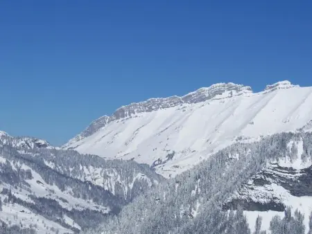 Studio skis aux pieds avec balcon et animaux acceptés - Photo 9