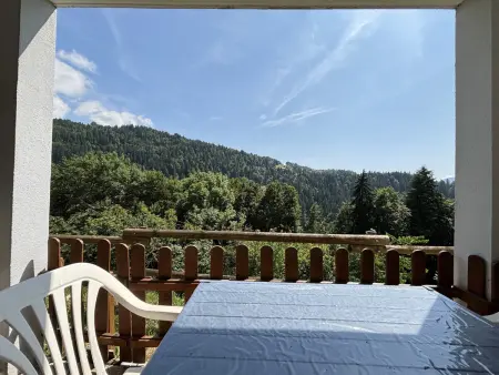 Appartement cosy pour 4-5 pers, animaux admis, Appartement 4 personnes à Notre Dame de Bellecombe - Photo 8