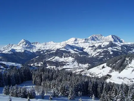 Chaleureux appartement au pied des pistes avec parking et animaux admis - Photo 19