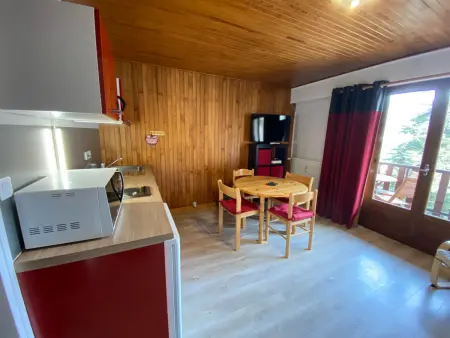 Studio lumineux 2* tout confort à Brides-les-Bains, WIFI, animaux admis - Photo 1