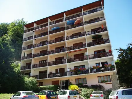 Studio 2 pers avec balcon, centre Brides-les-Bains, animaux et parking, wifi inclus - Photo 12