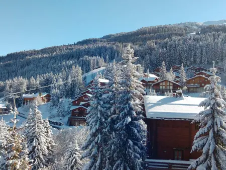 T3 en duplex skis aux pieds, 9 pers, parking, Appartement 9 personnes à La Tania - Photo 4