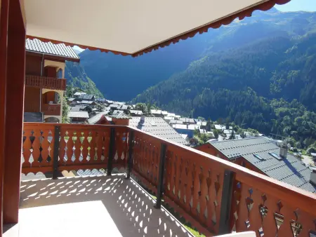 Appartement lumineux pour 6 pers, animaux admis à 200 m des pistes - Photo 7
