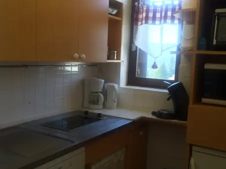 Studio cabine 33m² pieds des pistes, Animaux admis, Balcon sud - Photo 6