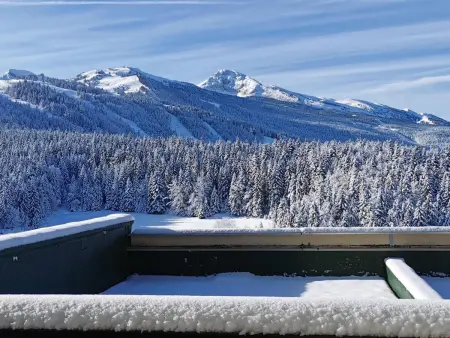 Studio cabine au pied des pistes à Villard de Lans, terrasse sud, parking gratuit - Photo 8