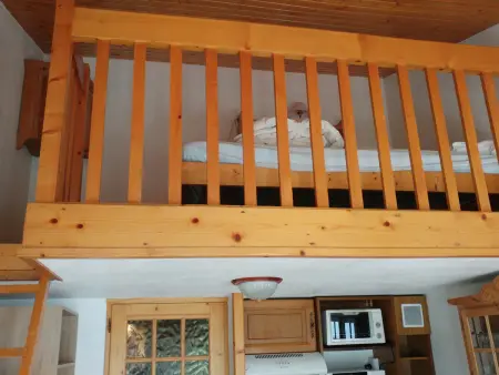 Appartement à Chamonix avec Balcon, Animaux Acceptés et Parking - Photo 5
