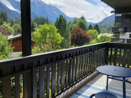 2 Pièces Vue Mont Blanc avec Balcon - Chamonix, Animaux acceptés - Photo 10