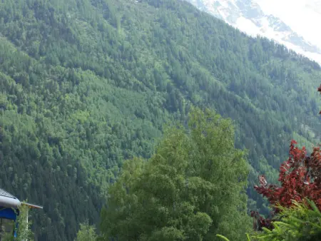 Studio cosy à Chamonix - Animaux admis, parking privé - Photo 9