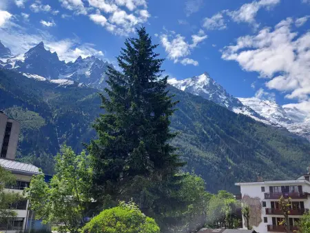 Studio cosy à Chamonix - Animaux admis, parking privé - Photo 11