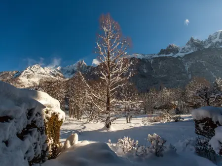 Superbe 3 pièces Chamonix - Jardin privé - Parking - Animaux admis - Photo 13
