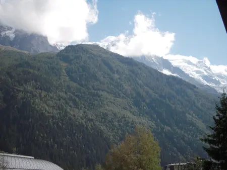2 Pièces à Chamonix, Vue Mont-Blanc, Animaux admis, Parking - Photo 4