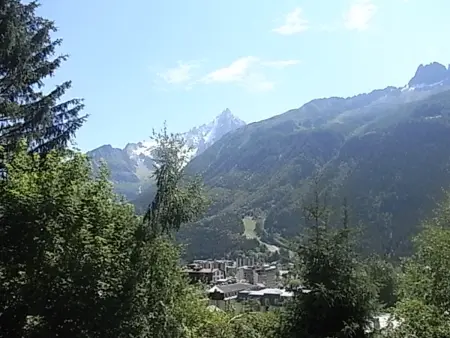 Studio lumineux 3 pers, animaux admis, parking, Appartement 3 personnes à Chamonix Mont Blanc - Photo 6