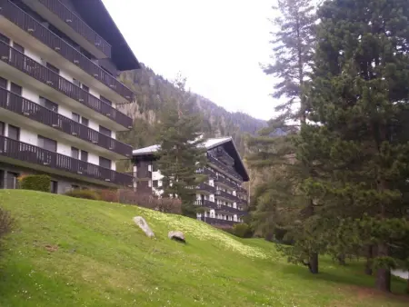 Studio lumineux 3 pers, animaux admis, parking, Appartement 3 personnes à Chamonix Mont Blanc - Photo 7