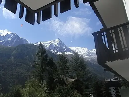 Studio lumineux 3 pers, animaux admis, parking, Appartement 3 personnes à Chamonix Mont Blanc - Photo 8