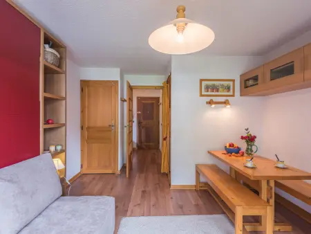 Studio lumineux proche des pistes, animaux admis - Photo 6