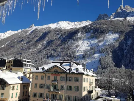 Magnifique appartement centre-ville - Animaux admis, WiFi - Photo 16
