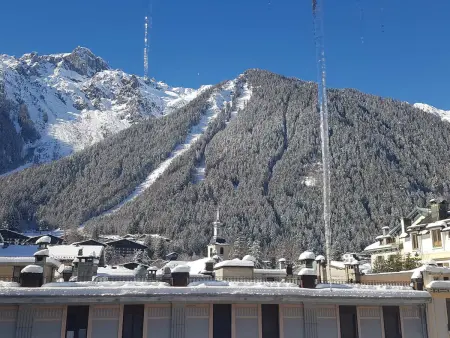Magnifique appartement centre-ville - Animaux admis, WiFi - Photo 17