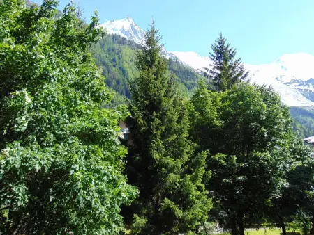 Studio Chamonix 20m², 4 pers, balcon, parking, Appartement 4 personnes à Chamonix Mont Blanc - Photo 9