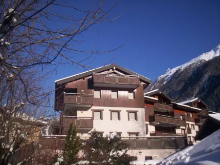 Charmant 2 Pièces Central avec Terrasse - Chamonix - Photo 9