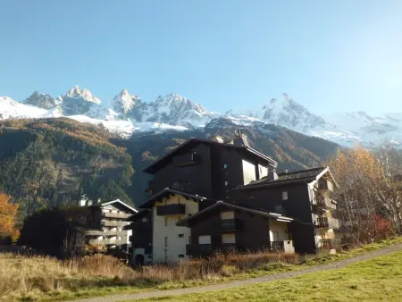 Studio cosy proche des pistes - Animaux admis, Appartement 3 personnes à Chamonix Mont Blanc - Photo 8
