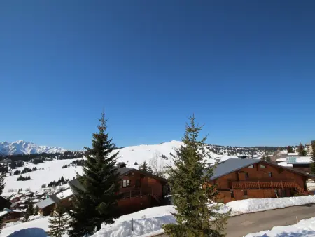 Appartement 1 étoile aux Saisies, 4 pers, vue pistes - Photo 9