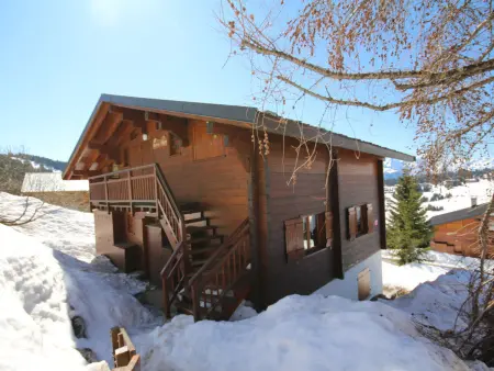 Appartement 1 étoile aux Saisies, 4 pers, vue pistes - Photo 14