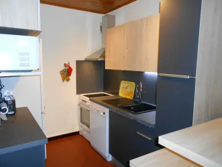 Appartement 8 pers, près des pistes, animaux admis - Photo 4
