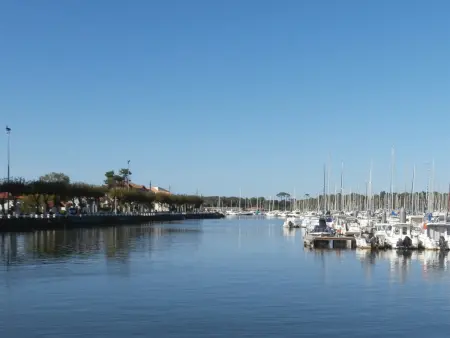 Charmant T3 de standing à Capbreton, jardin, 3 chambres, terrasse couverte, proche port et plages - Photo 16