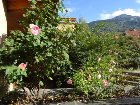 Charmant appart 3 pièces, 6 pers, terrasse à Bourg Saint Maurice - Photo 9