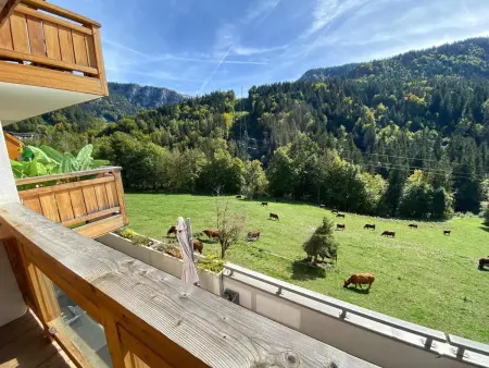 Appt 5 pers, garage, balcon, WiFi, skis, Appartement 5 personnes à Saint Jean de Sixt - Photo 15