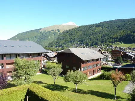 Charmant appartement près du centre de Morzine avec animaux admis - Photo 8
